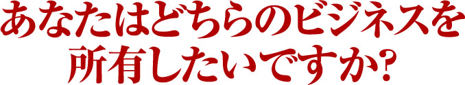 あなたはどちらのビジネスを所有したいですか？