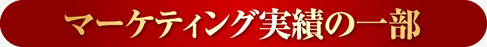 マーケティング実績の一部