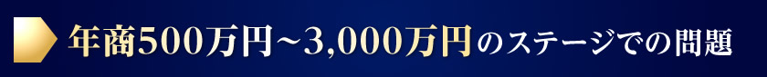 年商500万円～3,000万円のステージでの問題