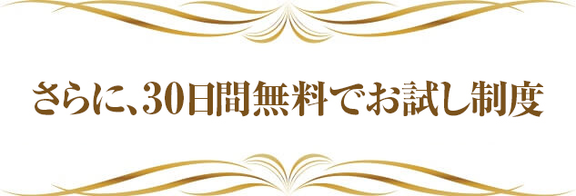さらに、30日間無料でお試し制度